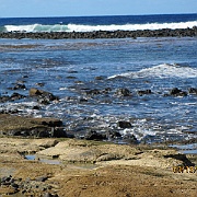 Picture 010